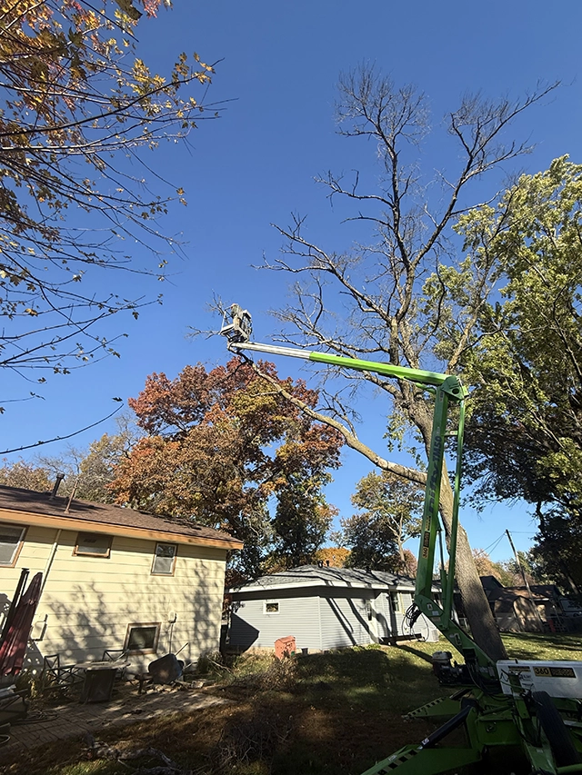 Shawn Cagle cutting down a tree in a boom lift with a chainsaw.