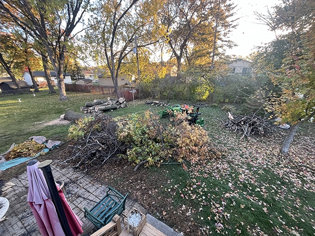 Shawn Cagle cleaning up a yard full of tree branches and logs.