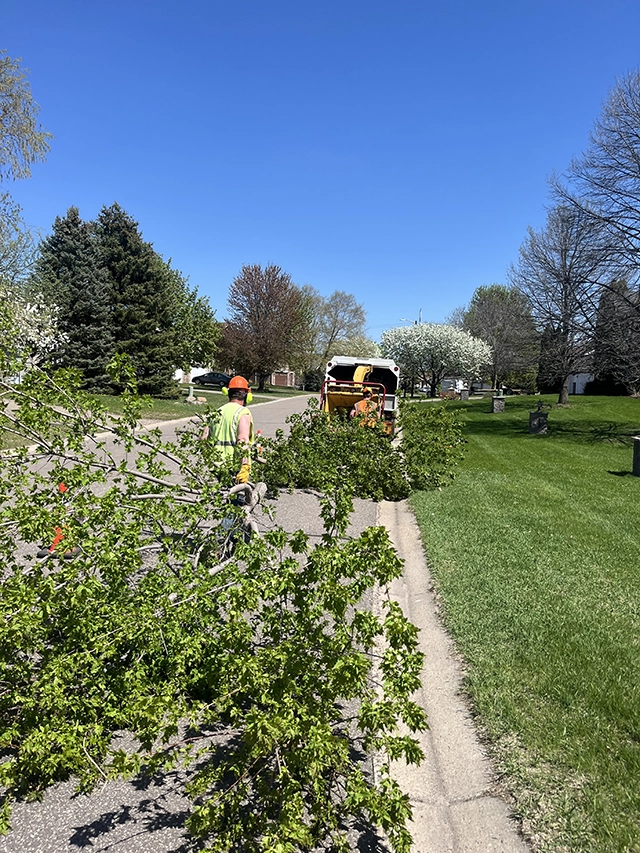 People dragging branches into a chipper truck.